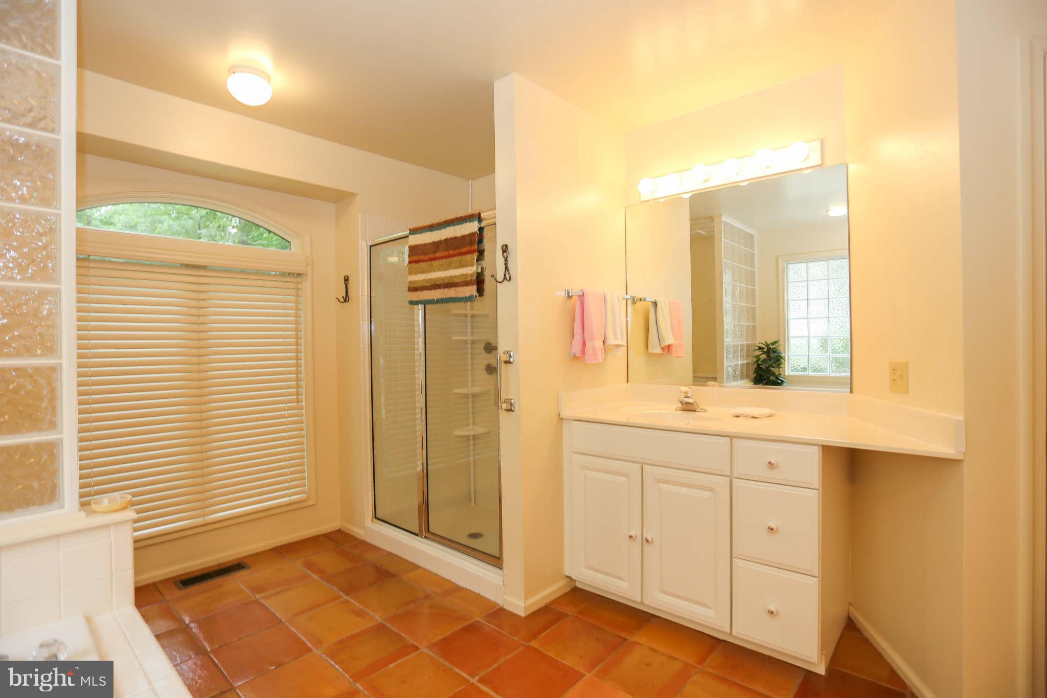 120 Skyline Road Locust Grove, VA 22508 - Photo 15 of 25 Bath (Master)