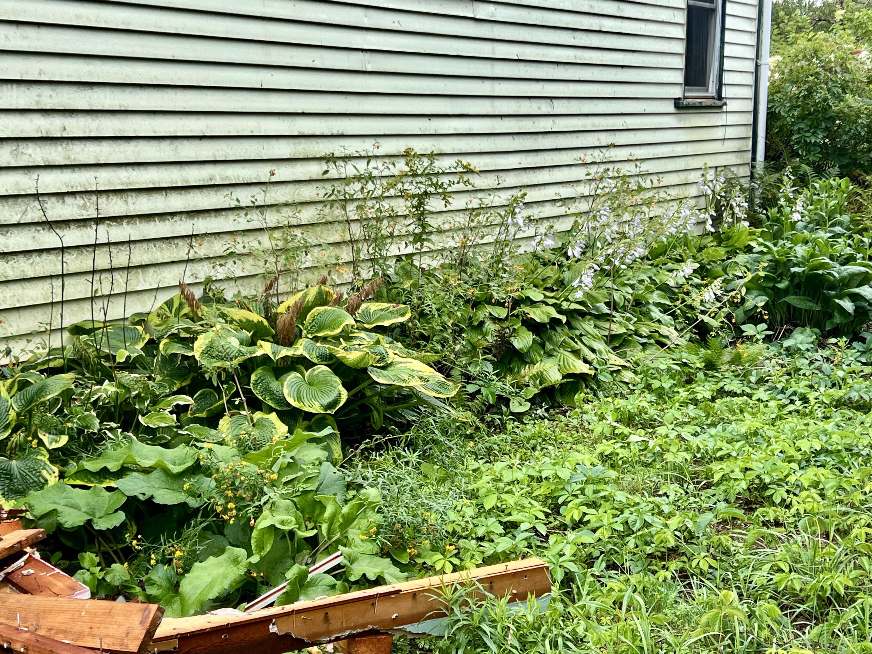 92 Back Searsport Road Belfast, ME 04915 - Photo 30 of 34 IMG_6186