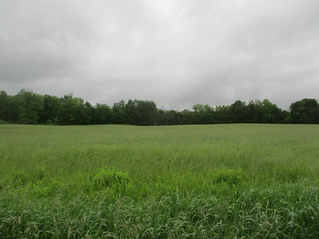 0 Sr 11 & Junction Road Malone, NY 12953 - Photo 4 of 5 Gallery Image 4