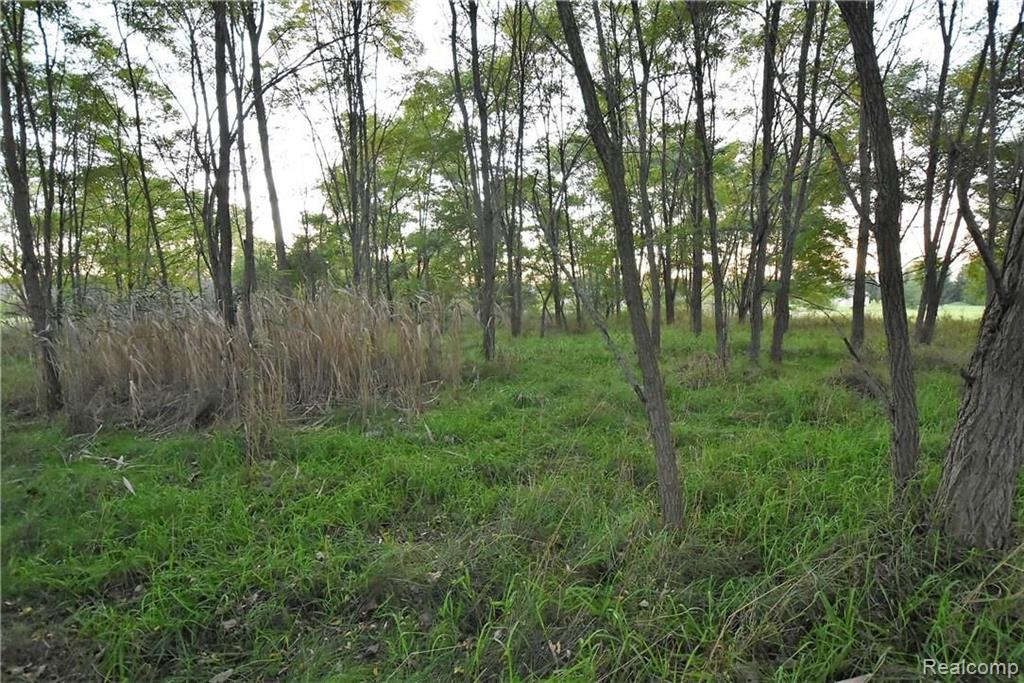 4030 Belle Ridge Drive Dryden, MI 48428 - Photo 2 of 5