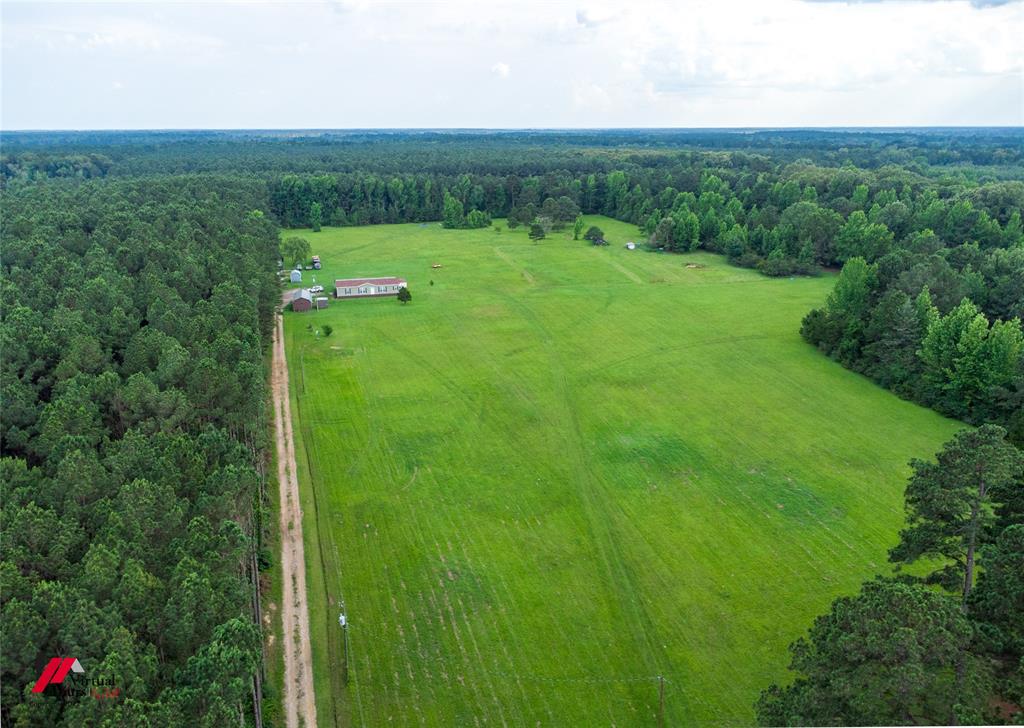 555 Thomasville Road Sarepta, LA 71071 - Photo 31 of 40 a view of a lush green space with sea
