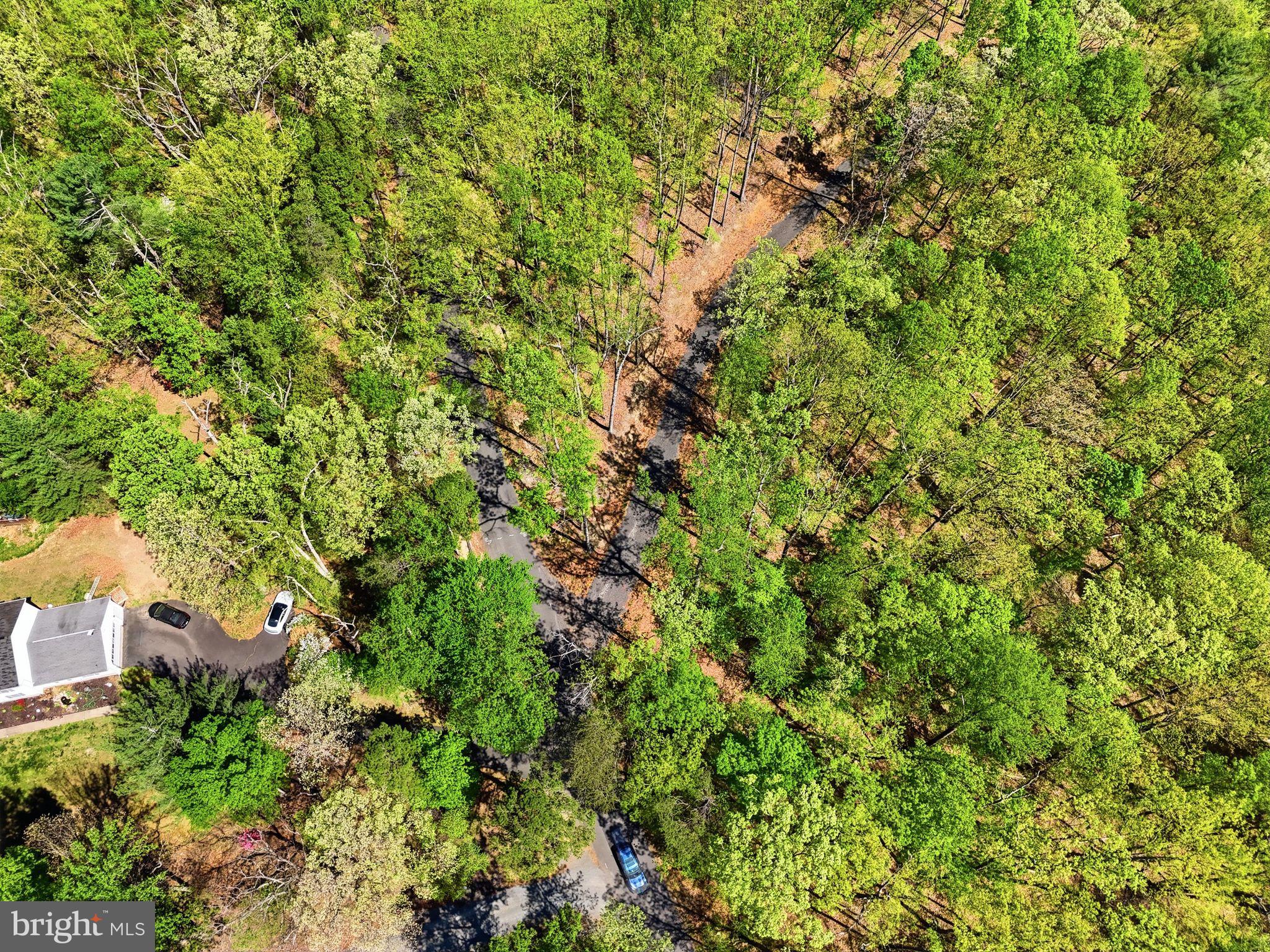 Lot 1 Obannons Mill Road Boston, VA 22713 - Photo 10 of 14 Gallery Image 10