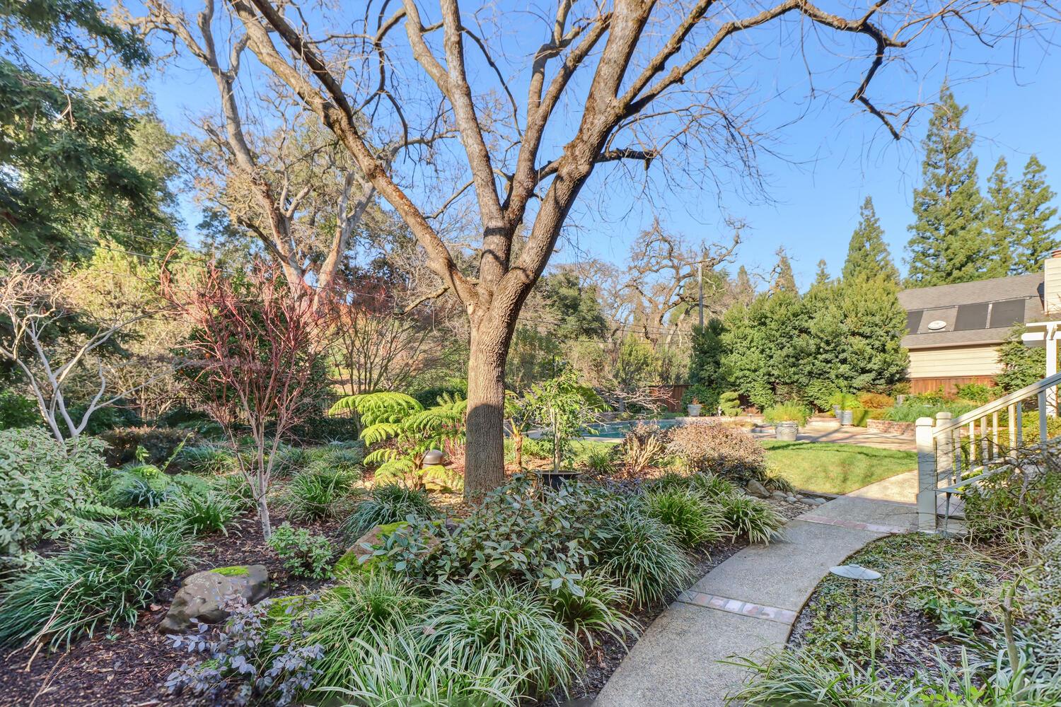 1749 Haggin Grove Way Carmichael, CA 95608 - Photo 90 of 99