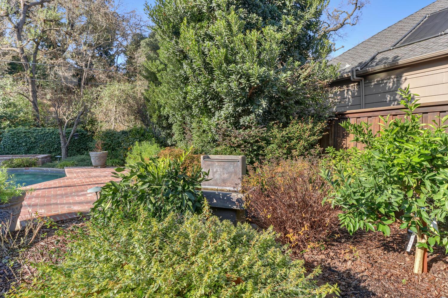 1749 Haggin Grove Way Carmichael, CA 95608 - Photo 91 of 99 a view of a garden with pathway