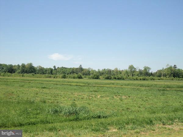 0 Dion Road Federalsburg, MD 21632 - Photo 3 of 6 a view of grassy field with trees