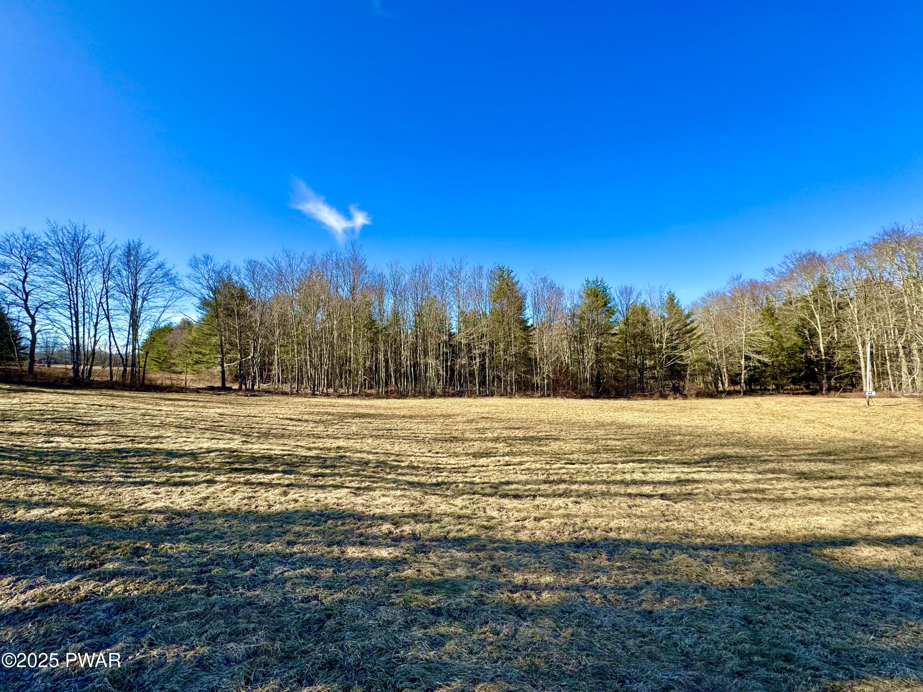 338 Layton Road Equinunk, PA 18417 - Photo 3 of 13