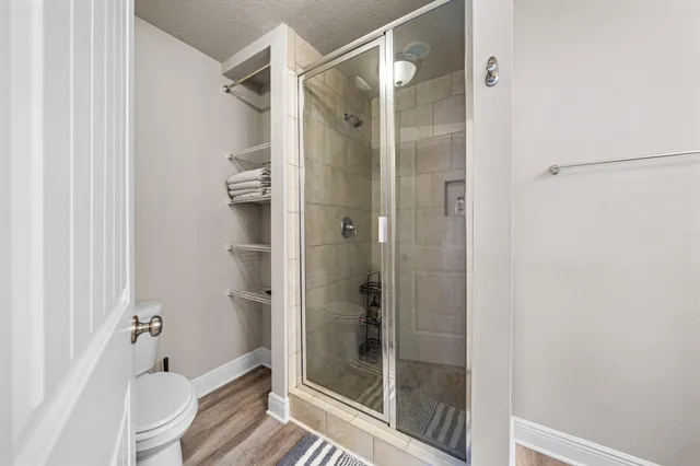 a bathroom with a shower and a toilet