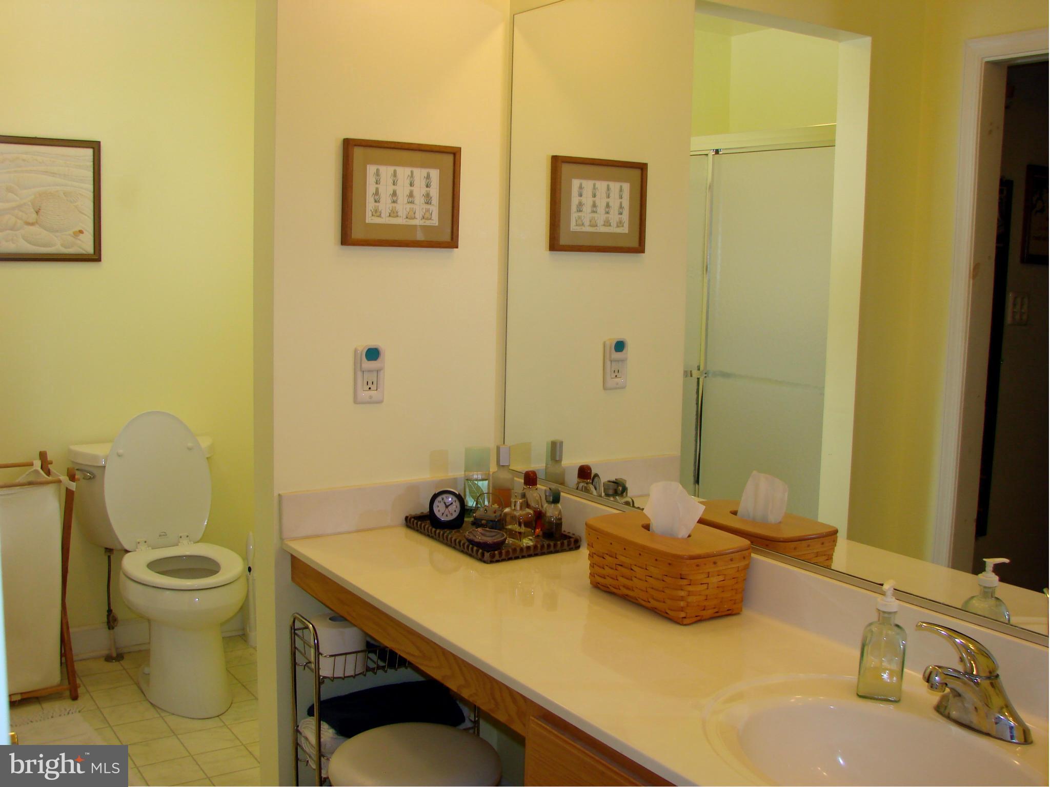 3198 Old York Road White Hall, MD 21161 - Photo 12 of 16 Bath (Master)