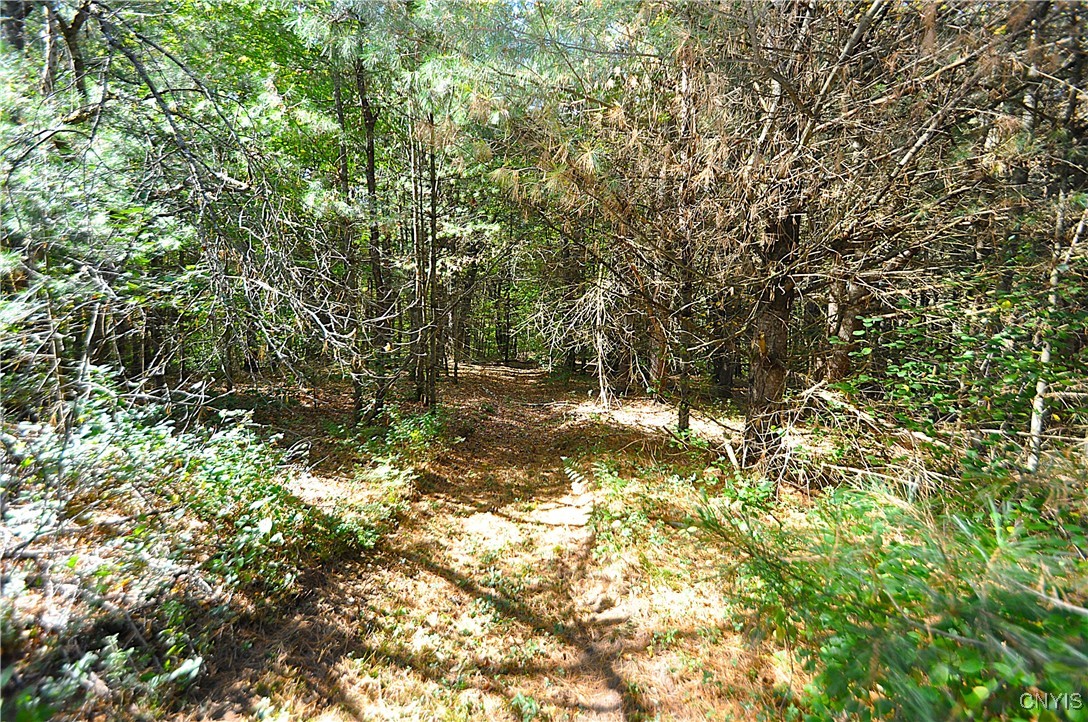 2791 County Rte 17 Williamstown, NY 13493 - Photo 17 of 31