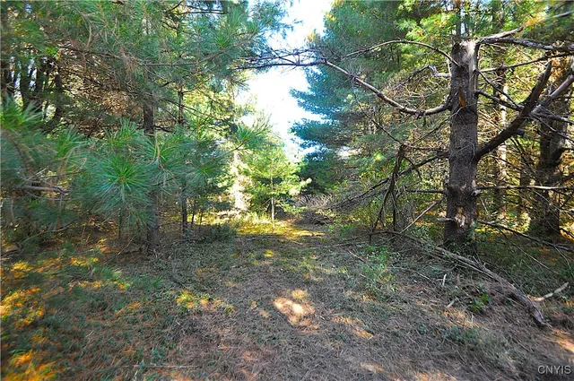 $129,900 | 2791 County Rte 17, Williamstown, NY 13493