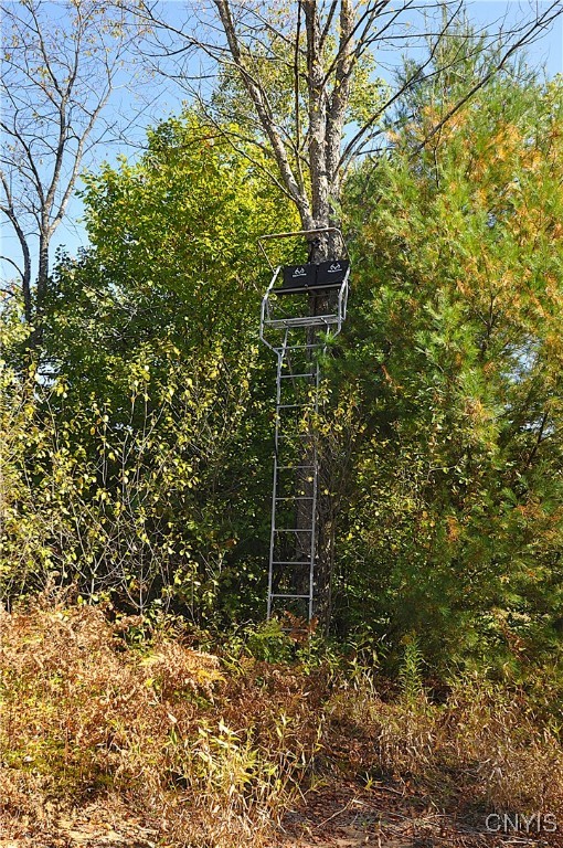 2791 County Rte 17 Williamstown, NY 13493 - Photo 24 of 31