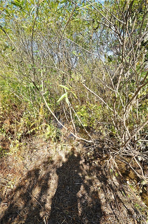 2791 County Rte 17 Williamstown, NY 13493 - Photo 26 of 31