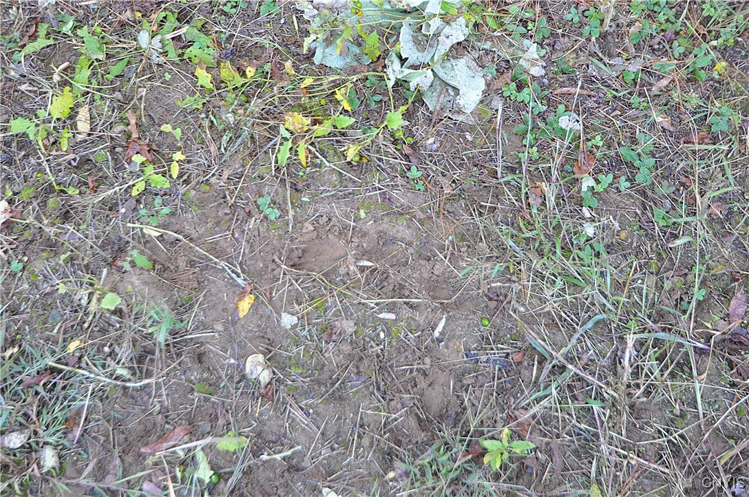 2791 County Rte 17 Williamstown, NY 13493 - Photo 28 of 31