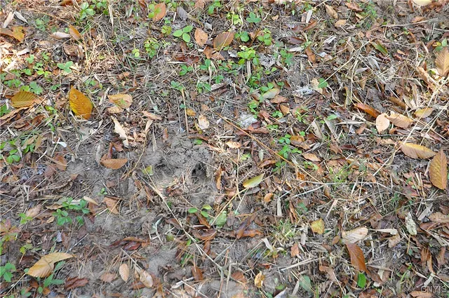 $129,900 | 2791 County Rte 17, Williamstown, NY 13493