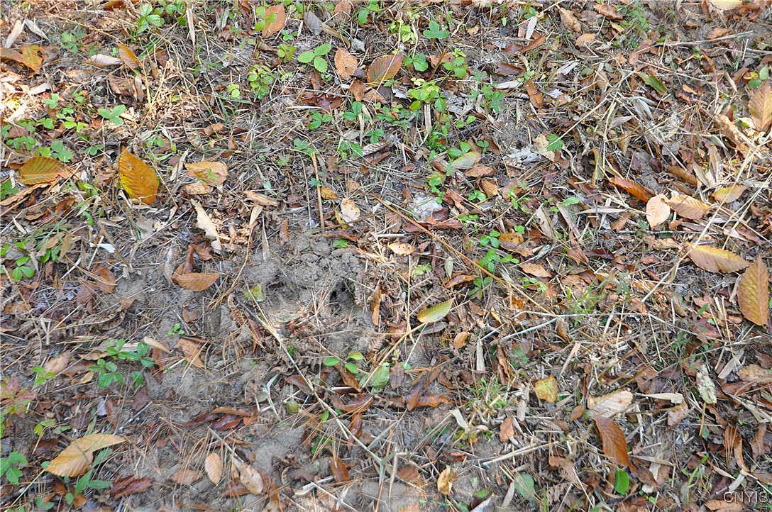 2791 County Rte 17 Williamstown, NY 13493 - Photo 29 of 31