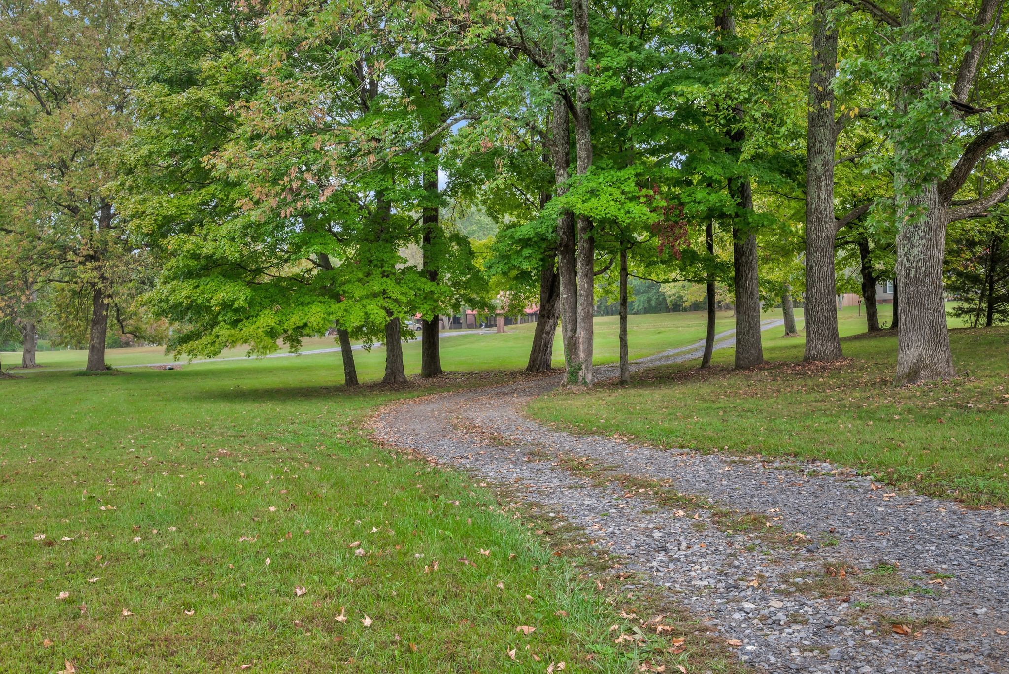1006 Cherokee Trail Springfield, TN 37172 - Photo 46 of 49 a view of park with trees