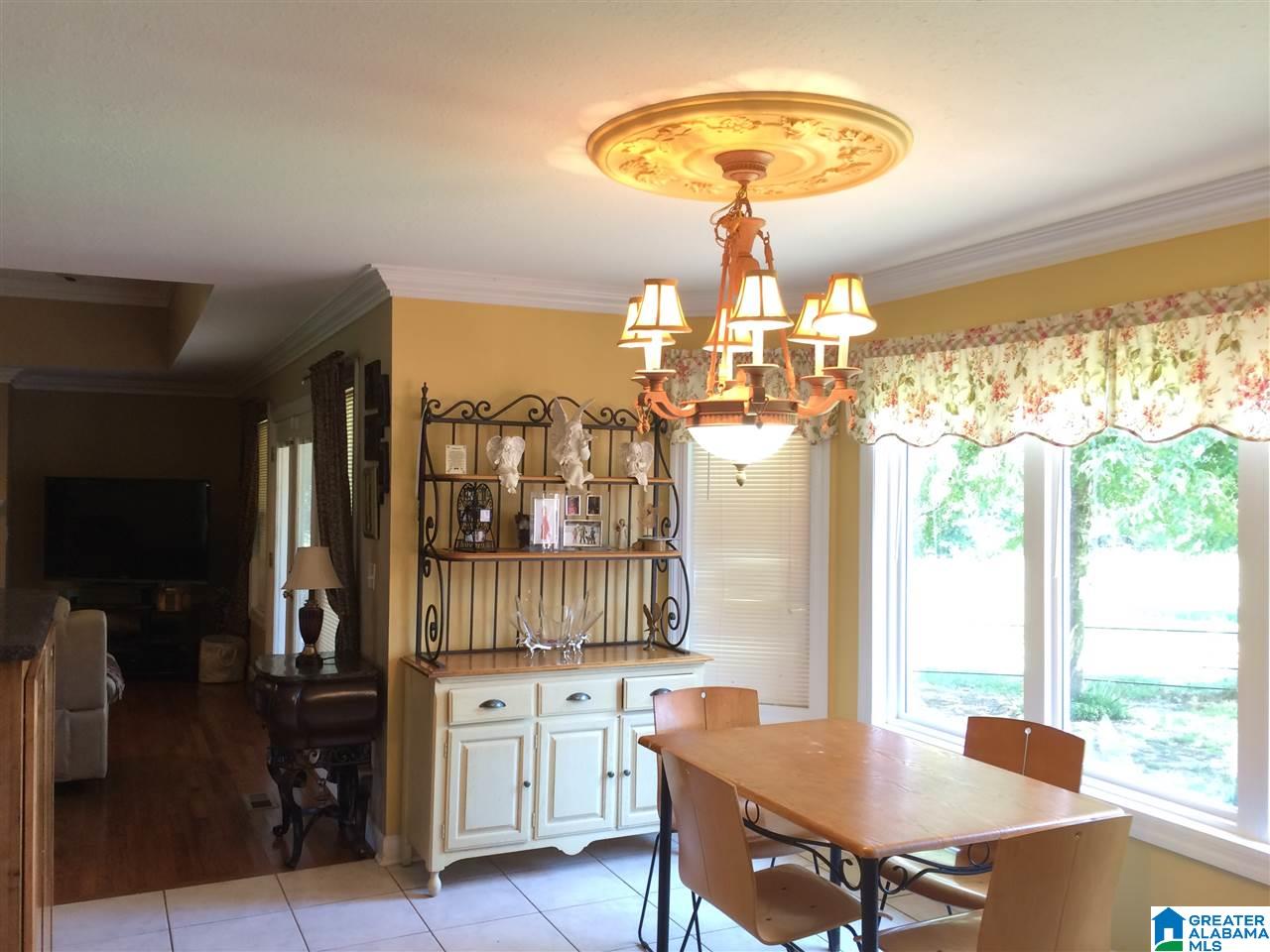 3134 Pine Mountain Road Remlap, AL 35133 - Photo 26 of 44 Gallery Image 26
