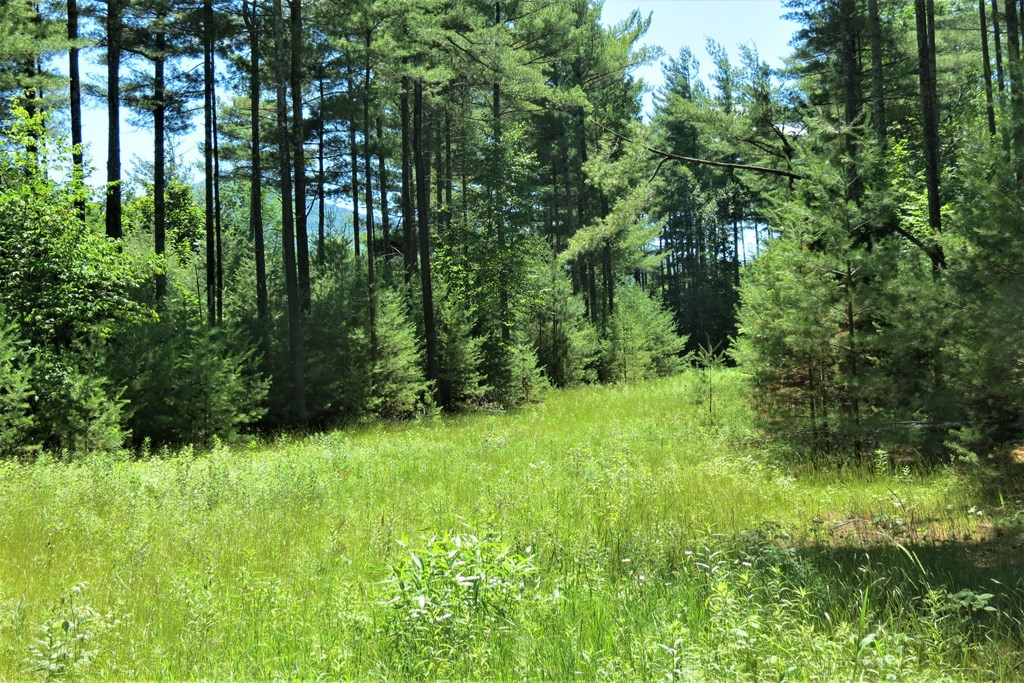 407 Upper Jay-Trumbulls Corners Road Jay, NY 12941 - Photo 14 of 25