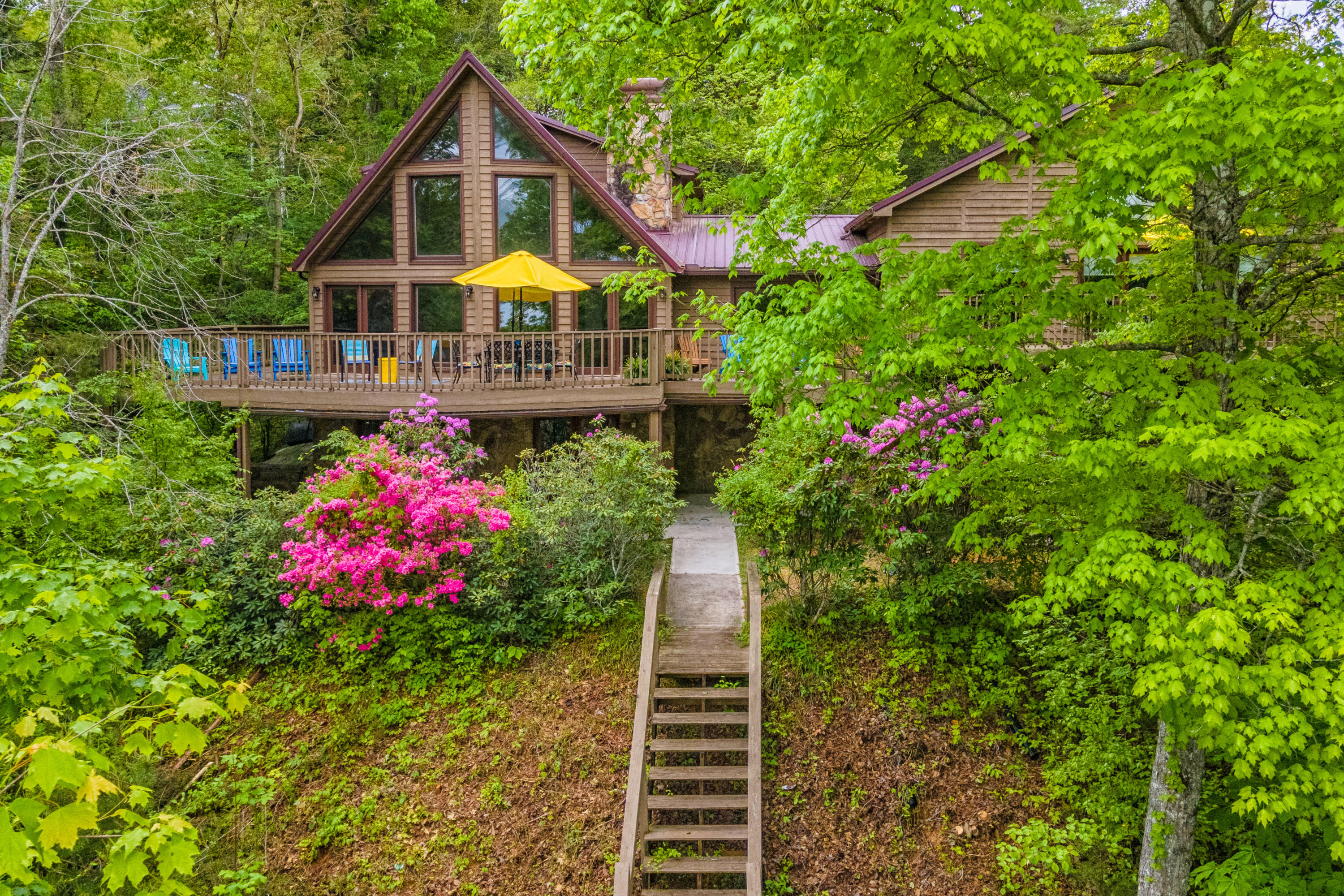 943 East Norris Point Road La Follette, TN 37766 - Photo 31 of 36 View from the water