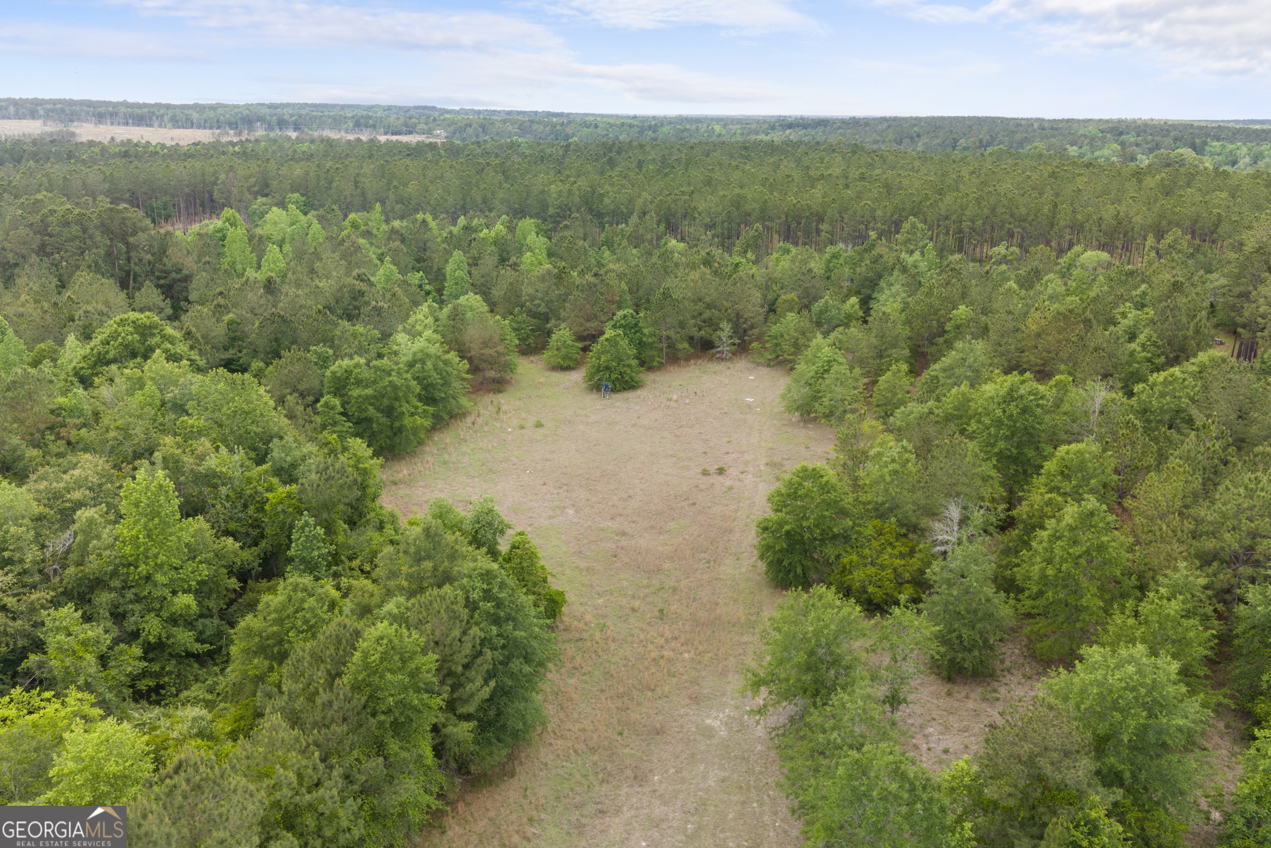1059 Rabitsch Road Millen, GA 30442 - Photo 26 of 27