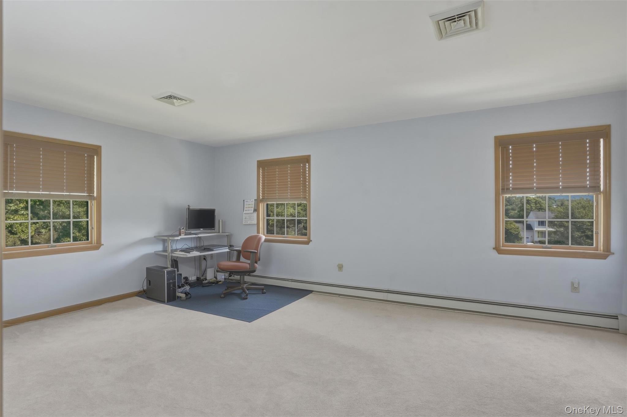 41 Saddle Ridge Drive Hopewell Junction, NY 12533 - Photo 23 of 50 Same primary bedroom