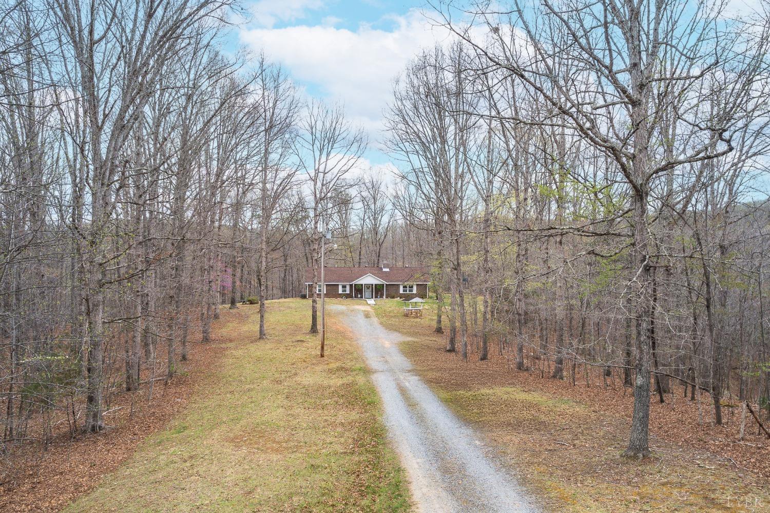1425 Kentmoor Farm Road Madison Heights, VA 24572 - Photo 4 of 47 a view of a yard with trees
