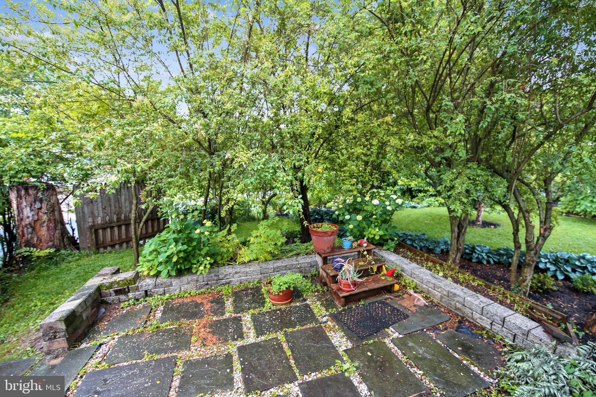 2501 Plyers Mill Road Silver Spring, MD 20902 - Photo 49 of 68 Lovely side patio with Hydrangeas!