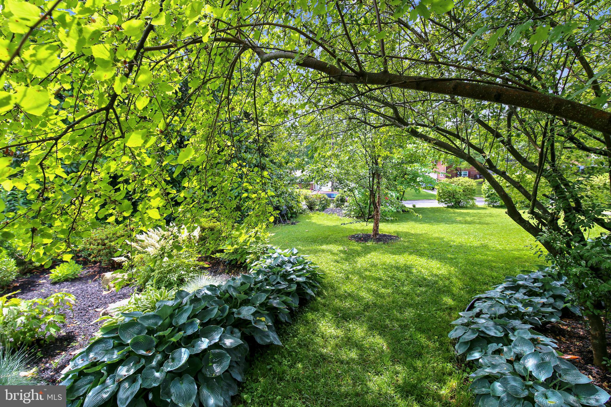 2501 Plyers Mill Road Silver Spring, MD 20902 - Photo 56 of 68 Beautifully planted property!