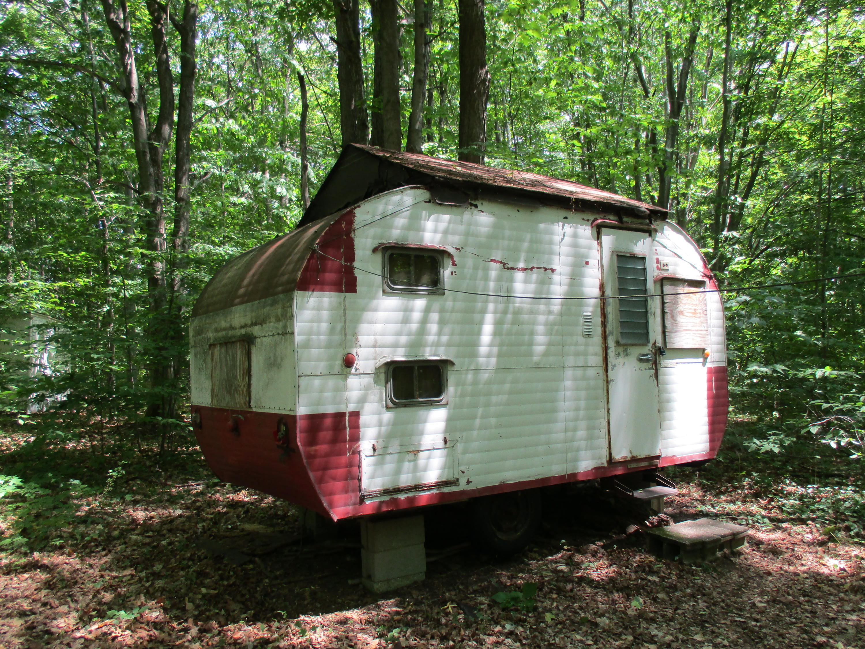 Wolf Road Frederic, MI 49733 - Photo 9 of 14 Gallery Image 9