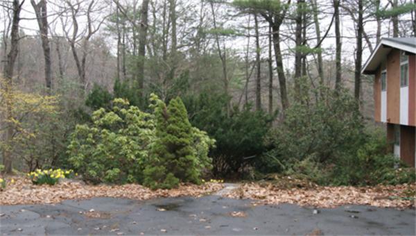 9 Reservoir Road Wayland, MA 01778 - Photo 3 of 7 Gallery Image 3
