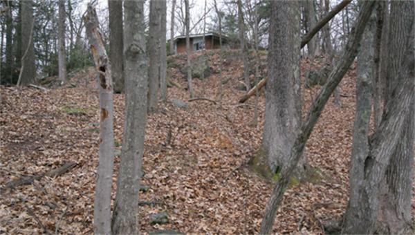 9 Reservoir Road Wayland, MA 01778 - Photo 5 of 7 Gallery Image 5