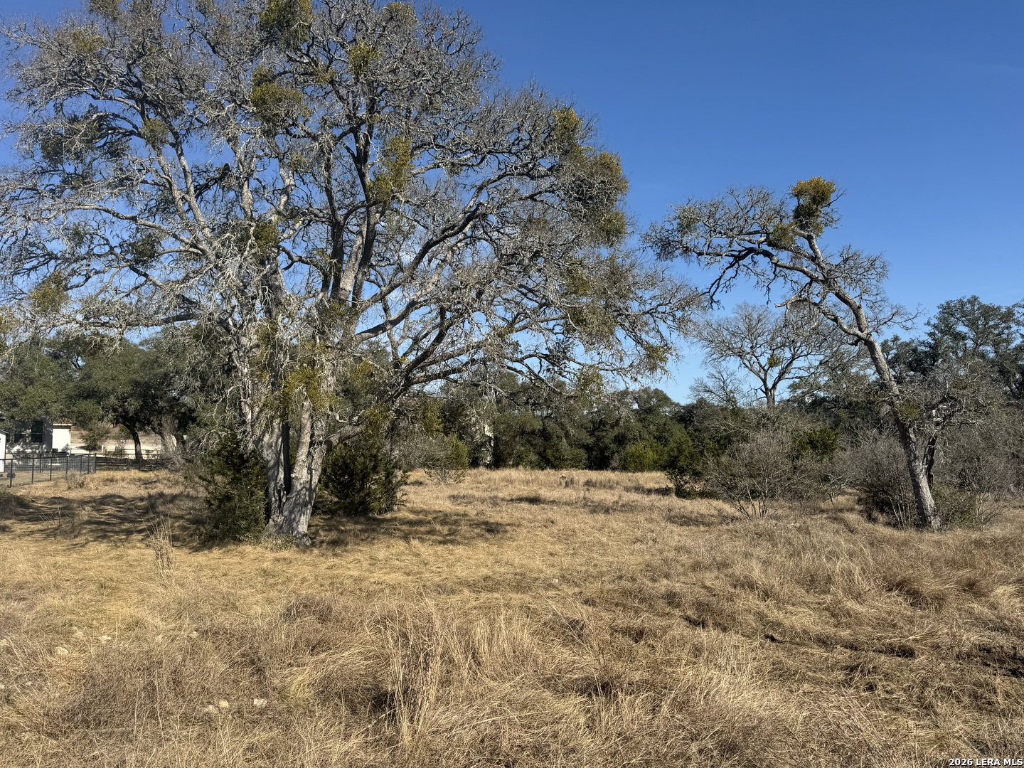 223 George Dolson Blanco, TX 78606 - Photo 11 of 16 a view of a yard with a tree