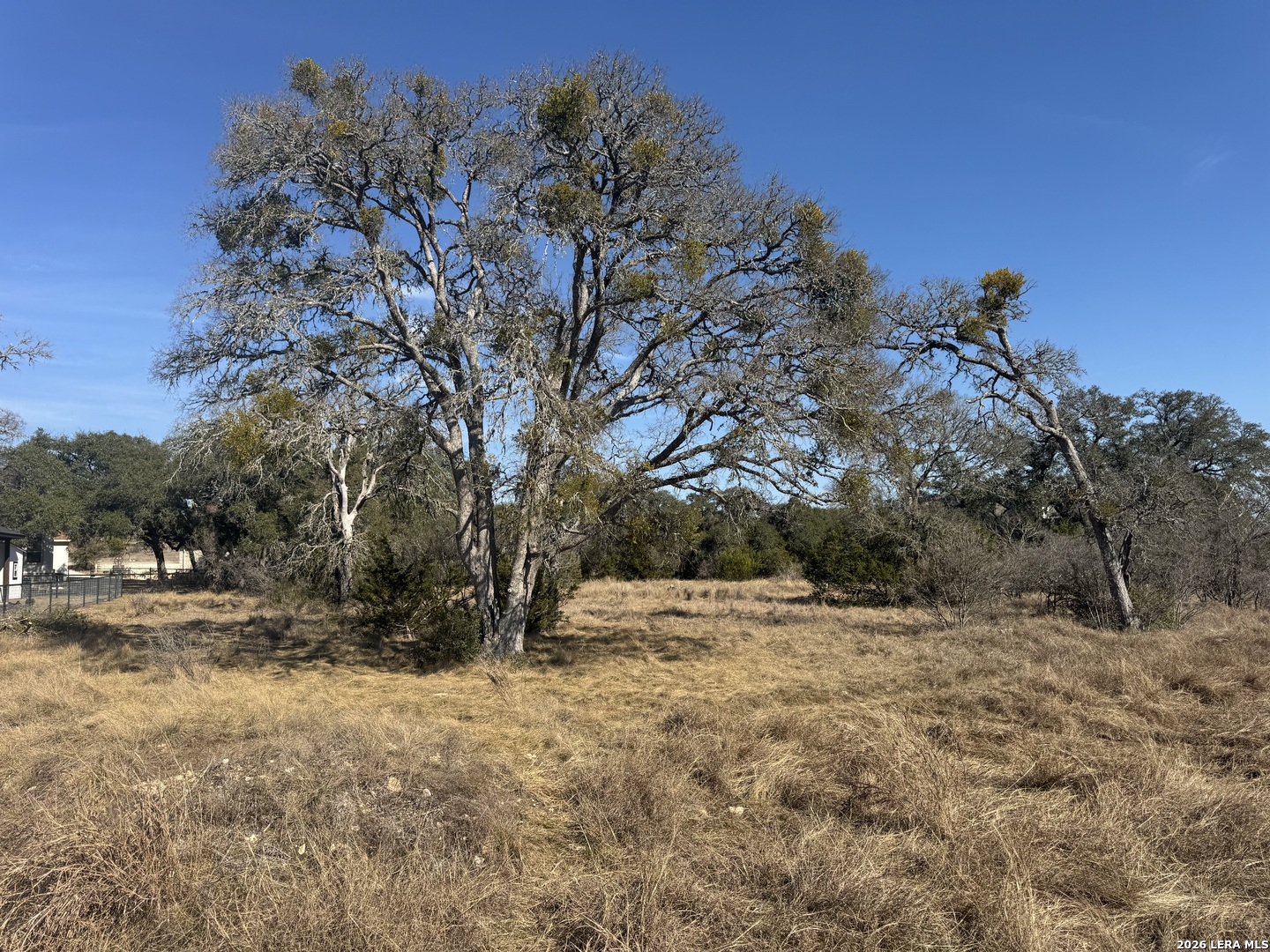 223 George Dolson Blanco, TX 78606 - Photo 13 of 16 a view of outdoor space with trees