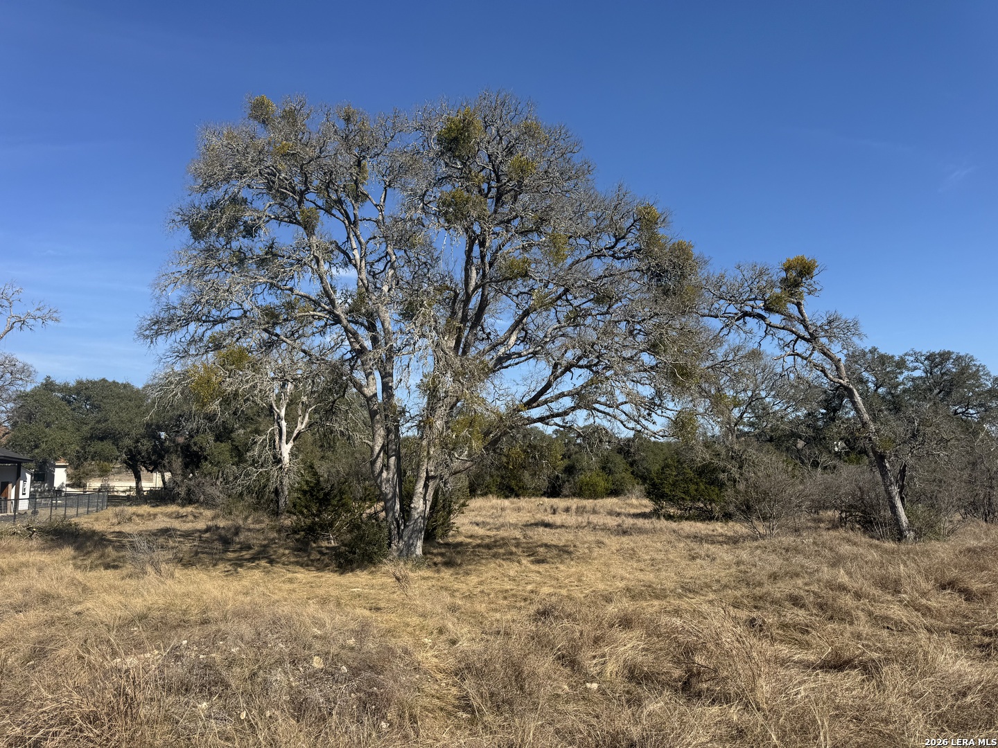 223 George Dolson Blanco, TX 78606 - Photo 14 of 16 a view of snow covered with trees