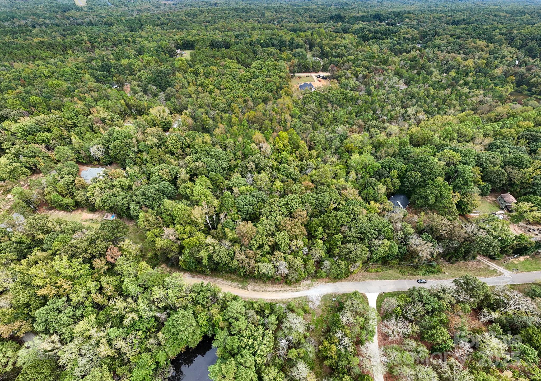 8001 Rillwood Drive Waxhaw, NC 28173 - Photo 5 of 16 a view of a lush green forest with trees and grass