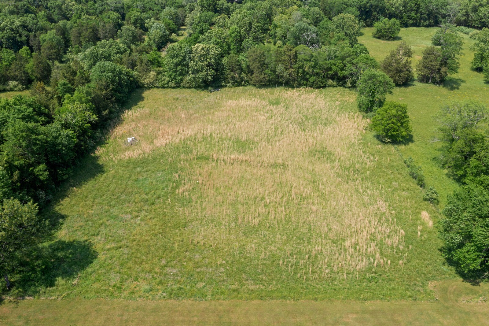 4100 Maxwell Road Antioch, TN 37013 - Photo 11 of 24 a view of a yard with a tree