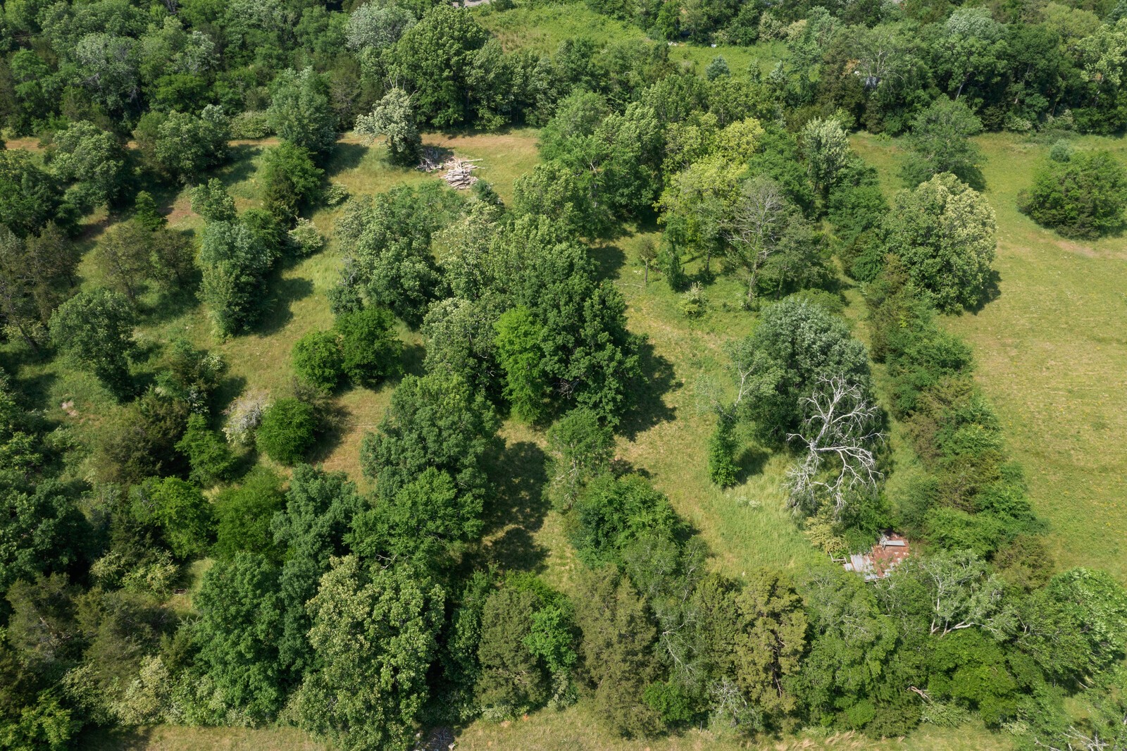 4100 Maxwell Road Antioch, TN 37013 - Photo 12 of 24 an aerial view of residential houses with outdoor space and trees