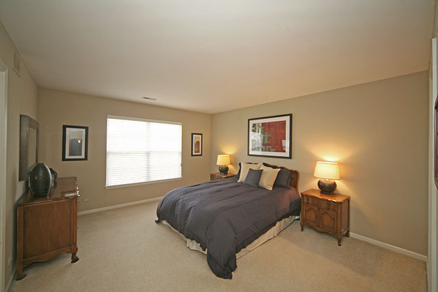 828 Riding Lane St. Charles, IL 60174 - Photo 12 of 24
