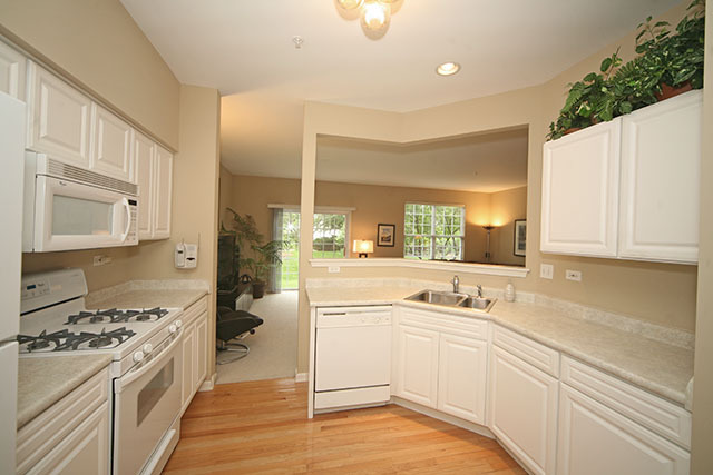 828 Riding Lane St. Charles, IL 60174 - Photo 7 of 24