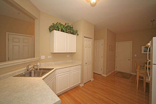 828 Riding Lane St. Charles, IL 60174 - Photo 9 of 24