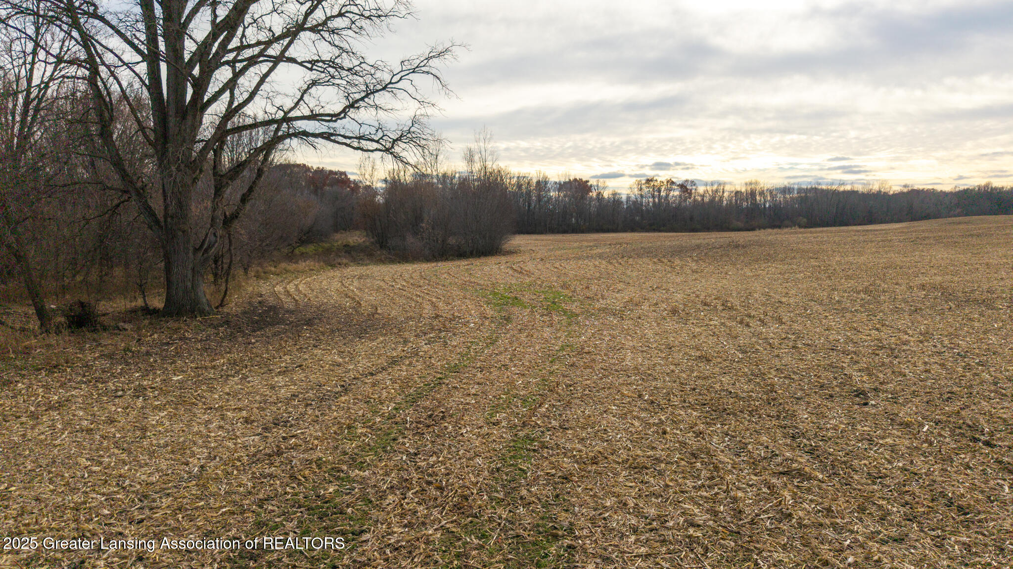 Vl Windsor Highway Dimondale, MI 48821 - Photo 25 of 31 Windsor_Hwy_37_ACRE_BROCK-25
