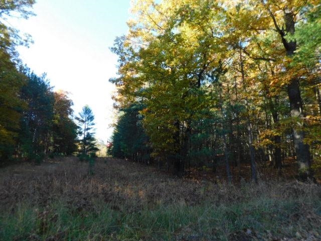 South River Road Kalkaska, MI 49646 - Photo 5 of 8 Gallery Image 5