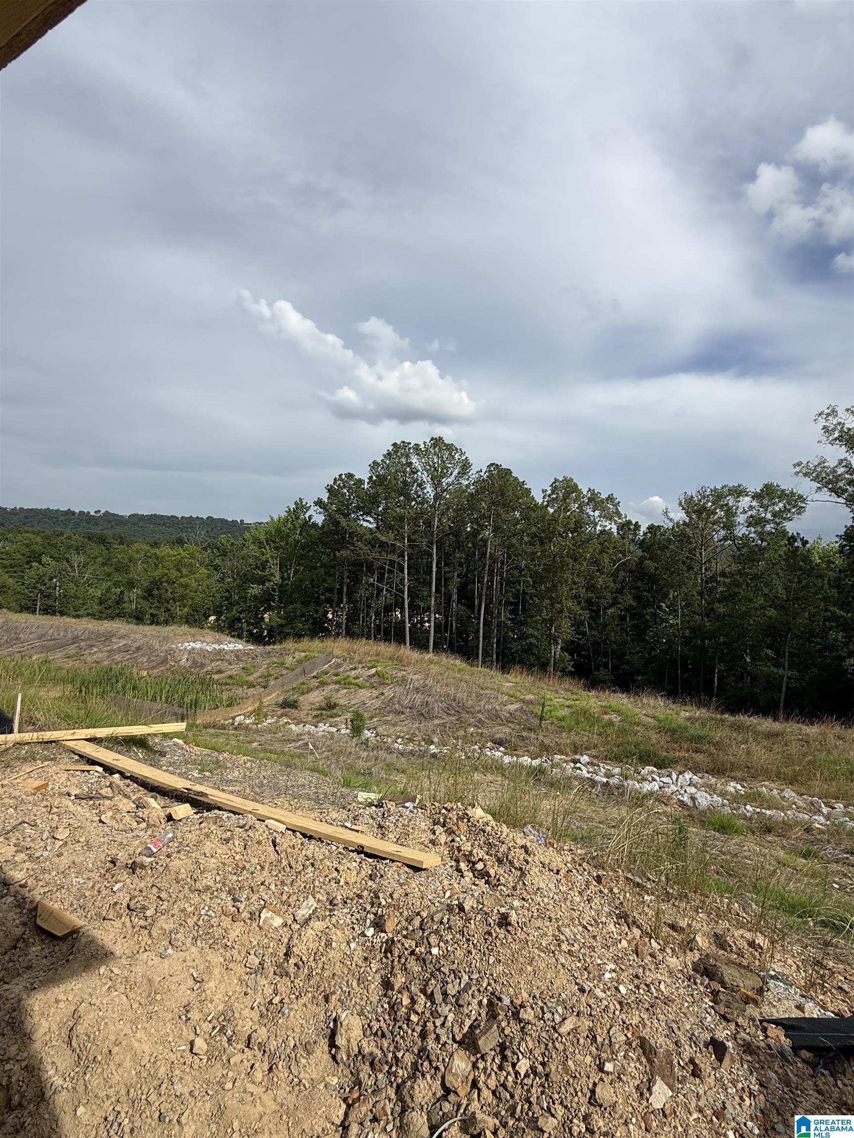 401 Huntley Rdg Bend Pelham, AL 35124 - Photo 3 of 5