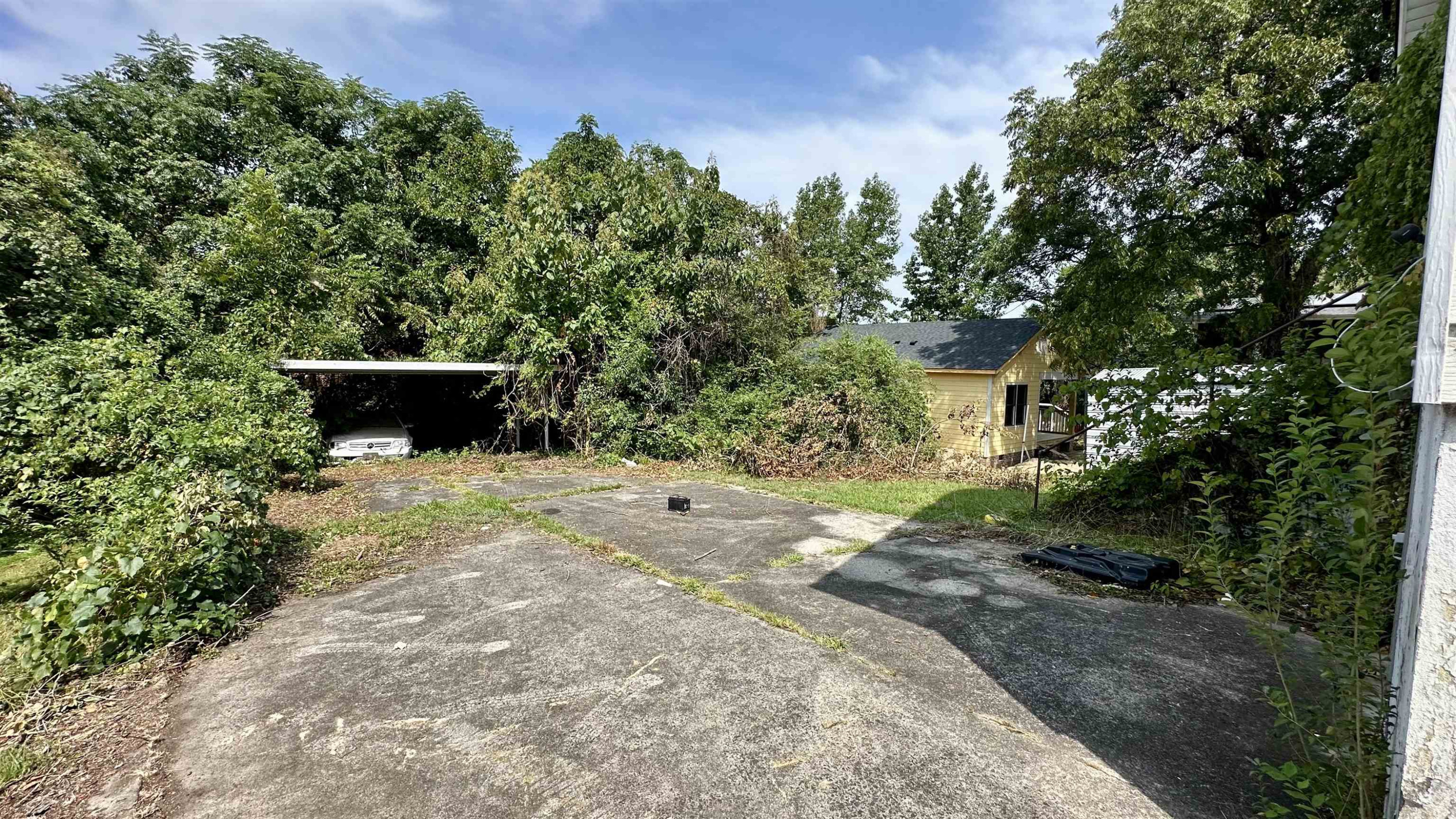 1309 Lancaster Street Durham, NC 27705 - Photo 29 of 30 a view of a yard with plants and trees