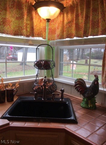 178 Prospect Road Berea, OH 44017 - Photo 13 of 29 Kitchen window overlooking patio.