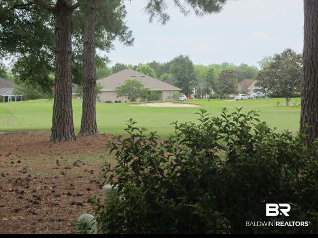 9255 Lakeview Drive Foley, AL 36535 - Photo 37 of 39 Rear Lawn