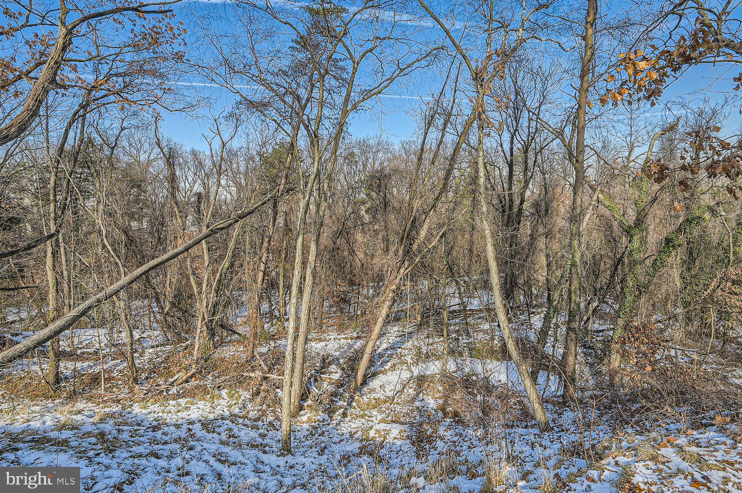 Sumter Avenue Rosedale, MD 21237 - Photo 11 of 11 a backyard of a house with lots of green space