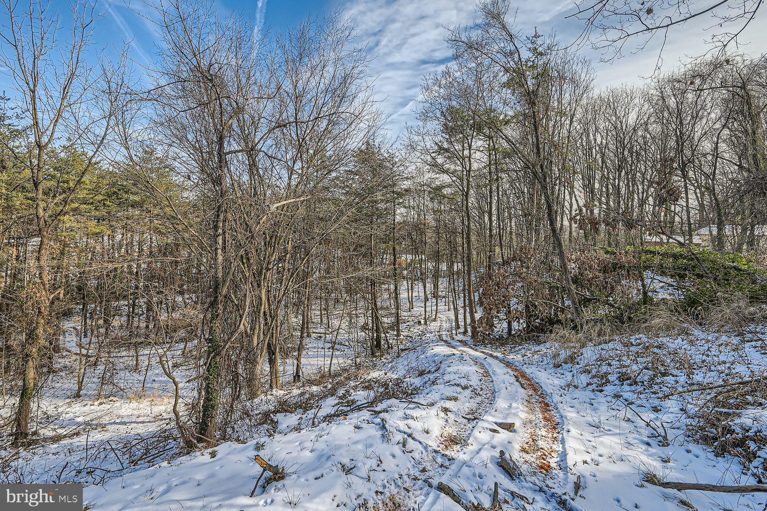 Sumter Avenue Rosedale, MD 21237 - Photo 2 of 11 a view of outdoor space and yard