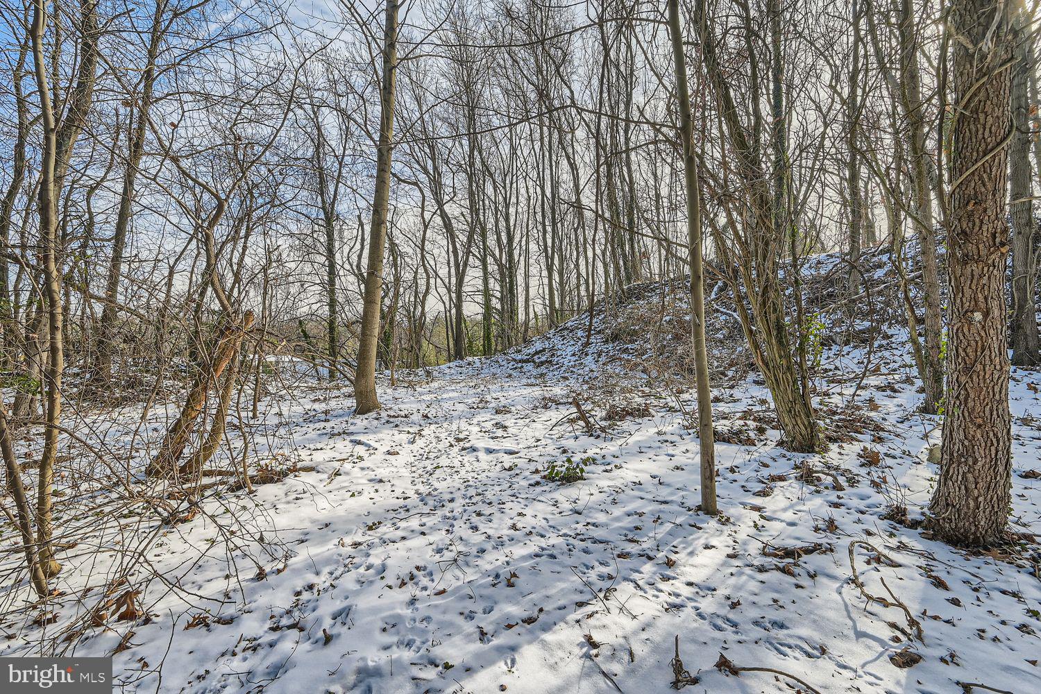 Sumter Avenue Rosedale, MD 21237 - Photo 4 of 11 a view of a yard with trees
