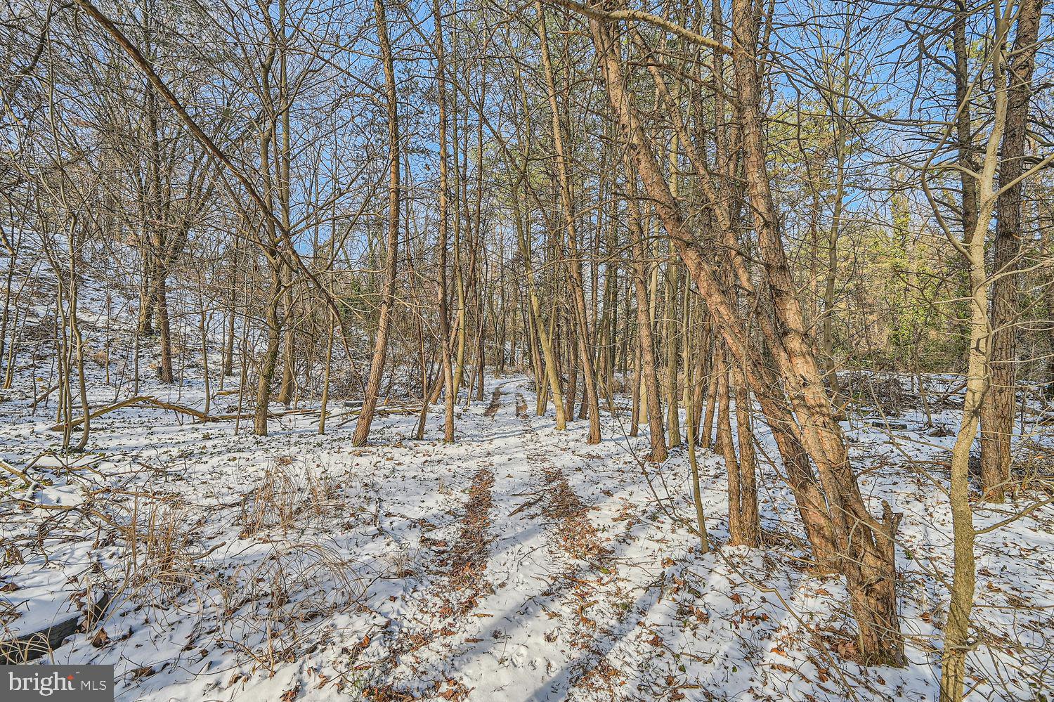 Sumter Avenue Rosedale, MD 21237 - Photo 5 of 11 a view of a yard with trees